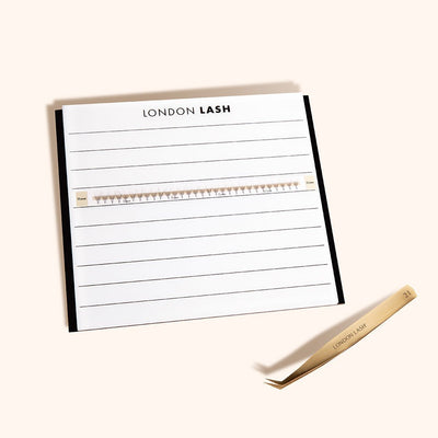 Magnetic Acrylic Palette Organizer for Premade Fans - Lash Look