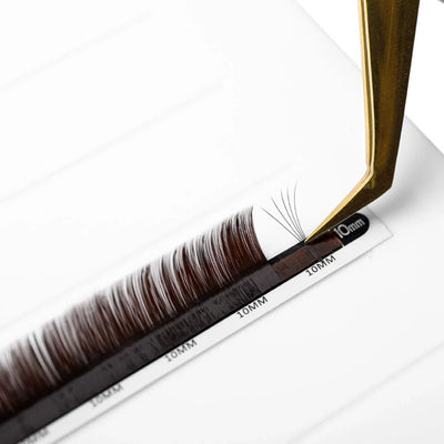 Mayfair Black Brown Volume Lashes