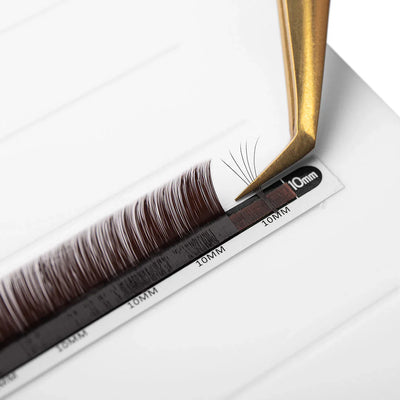 Mayfair Black Brown Volume Lashes