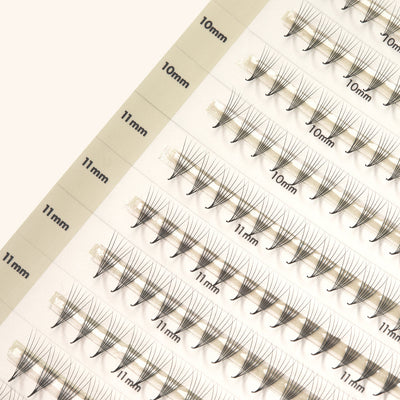 Mayfair 14D 0.03 (500fans) NARROW