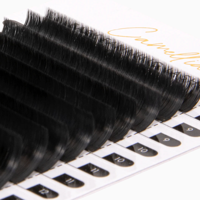 Camellia Easy Fanning Lashes