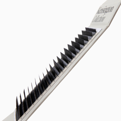 Kensington Volume Lashes