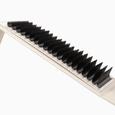 Kensington Volume Lashes