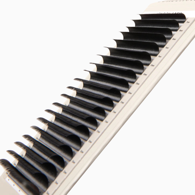 Kensington Volume Lashes