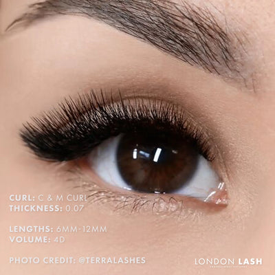 Mayfair Volume Lashes
