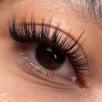 Kensington Volume Lashes