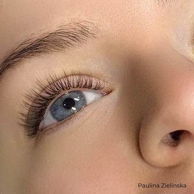 Mayfair Black Brown Volume Lashes