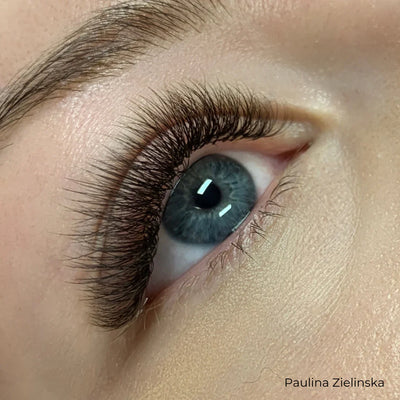Mayfair Black Brown Volume Lashes