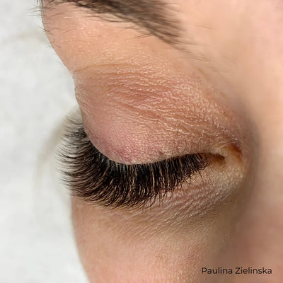 Mayfair Black Brown Volume Lashes