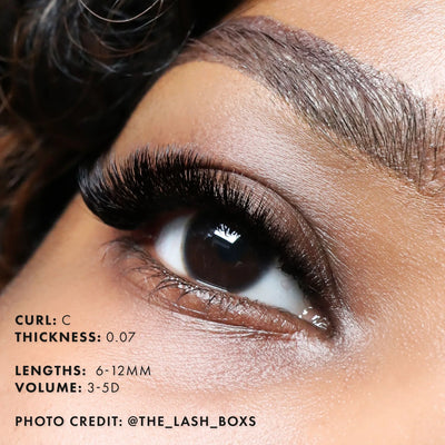 Mayfair Volume Lashes