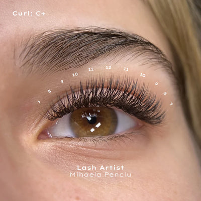 SpedYY Lashes