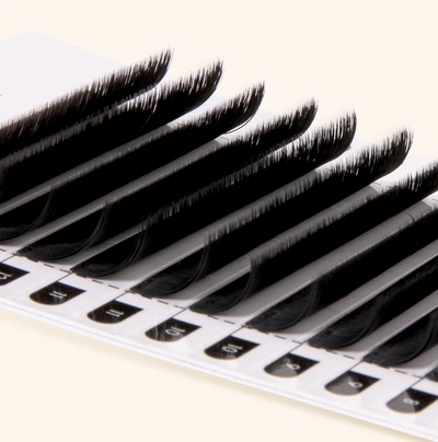 CAMELLIA - EASY FANNING MEGA VOLUME LASHES 0.03