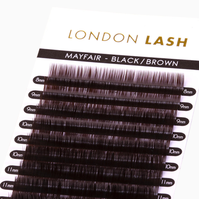 Mayfair Black Brown Volume Lashes