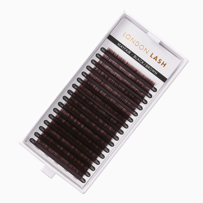 Mayfair Black Brown Volume Lashes